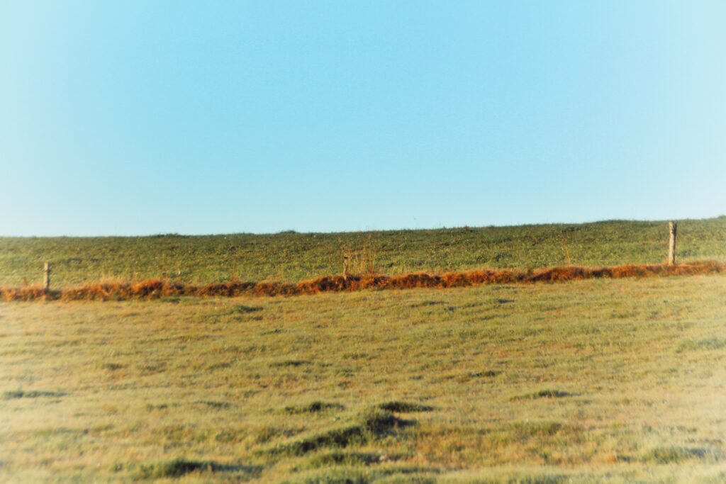 VictoireChaboud_8C_202511