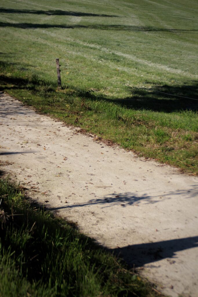 VictoireChaboud_8C_202537