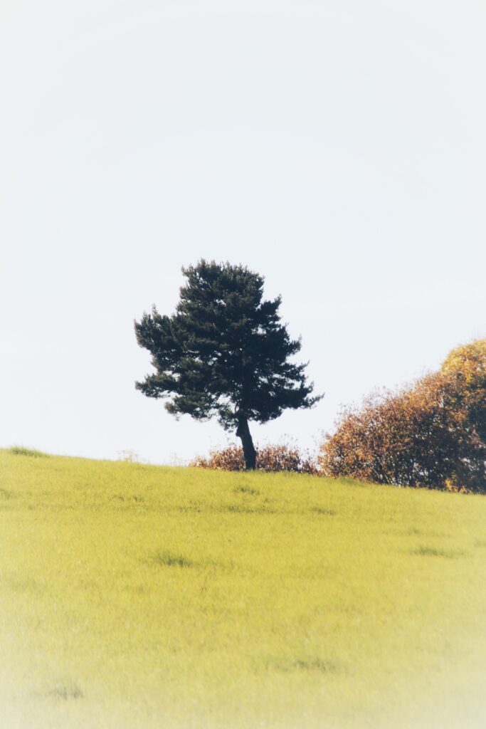 VictoireChaboud_8C_202553