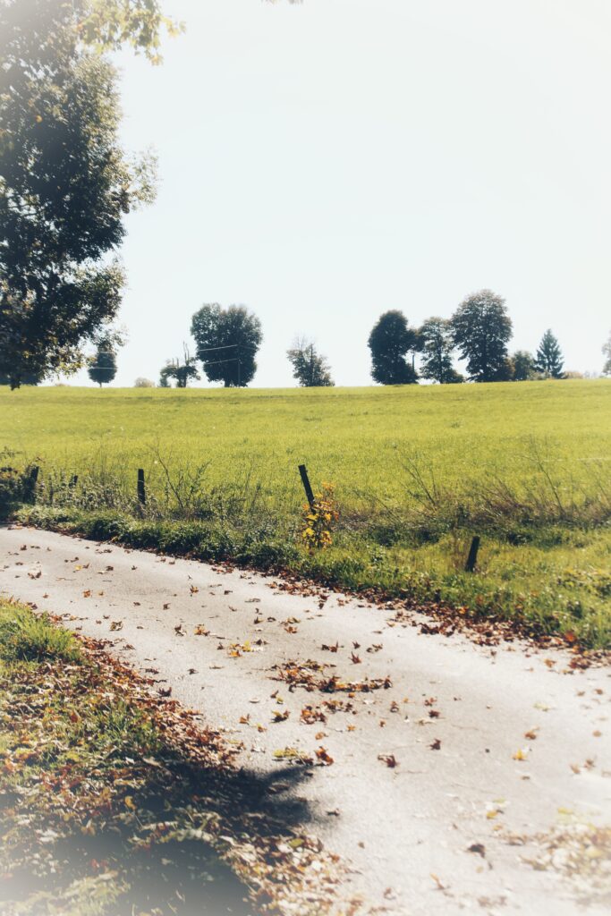 VictoireChaboud_8C_202554